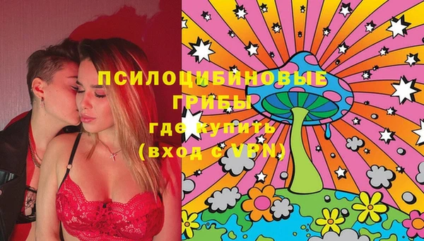 МДПВ Михайловск