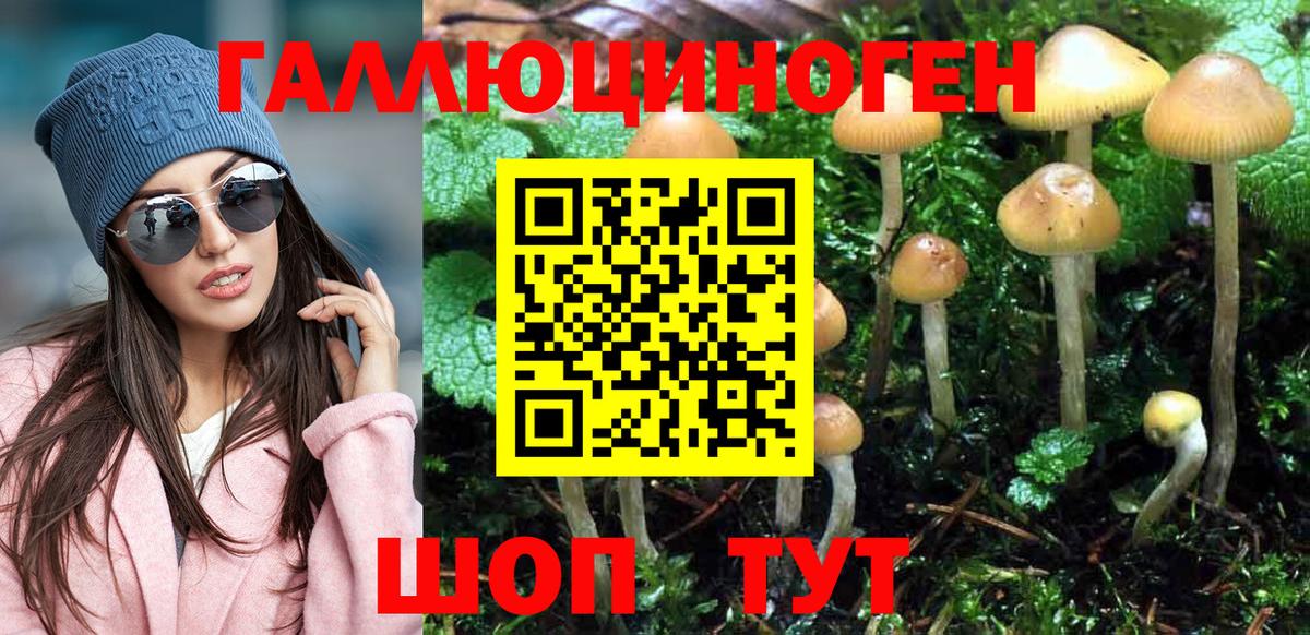 Галлюциногенные грибы прущие грибы Геленджик
