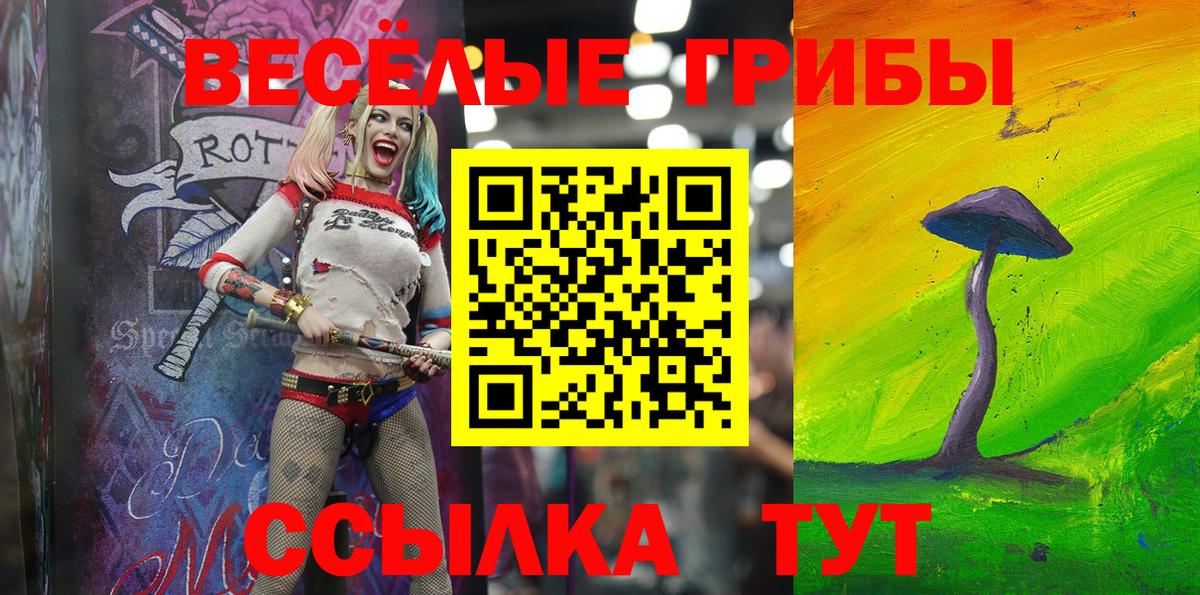 Галлюциногенные грибы Psilocybe  Вход с VPN  Геленджик 